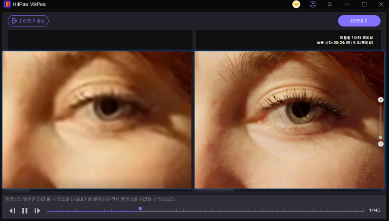 HitPaw vikpea 성능