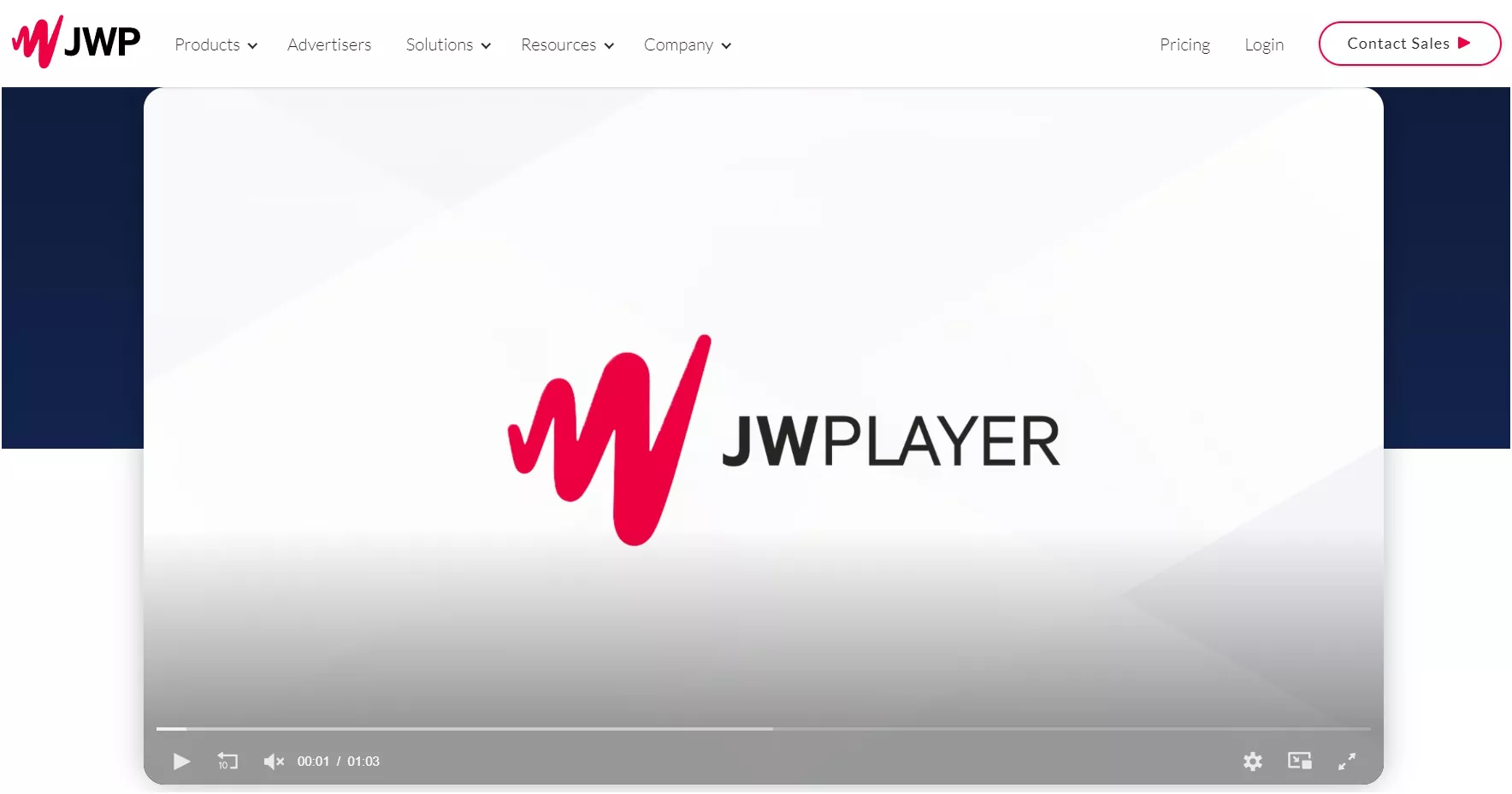 best watermark remover from video
