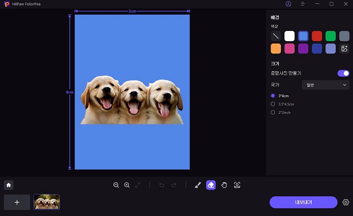 AI 강아지 증명사진 만들기