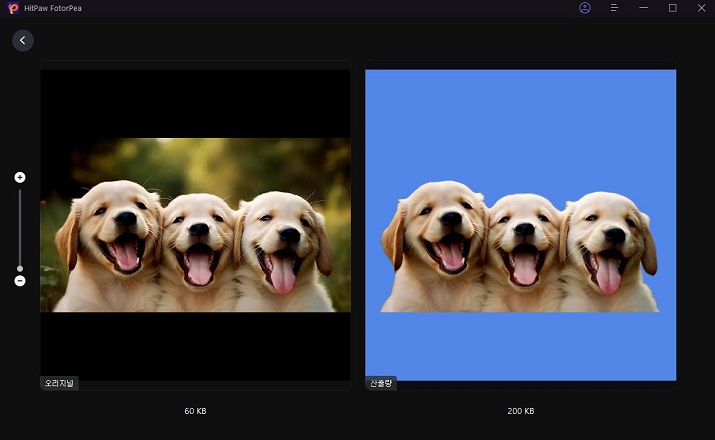 AI 강아지 증명사진 만들기