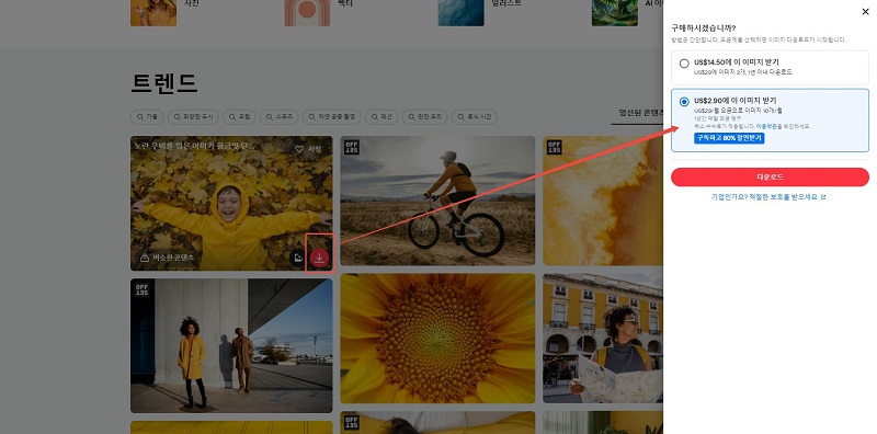 Shutterstock 이미지로 AI 편집