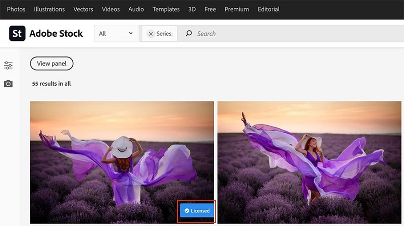 Shutterstock 대체 서비스 비교