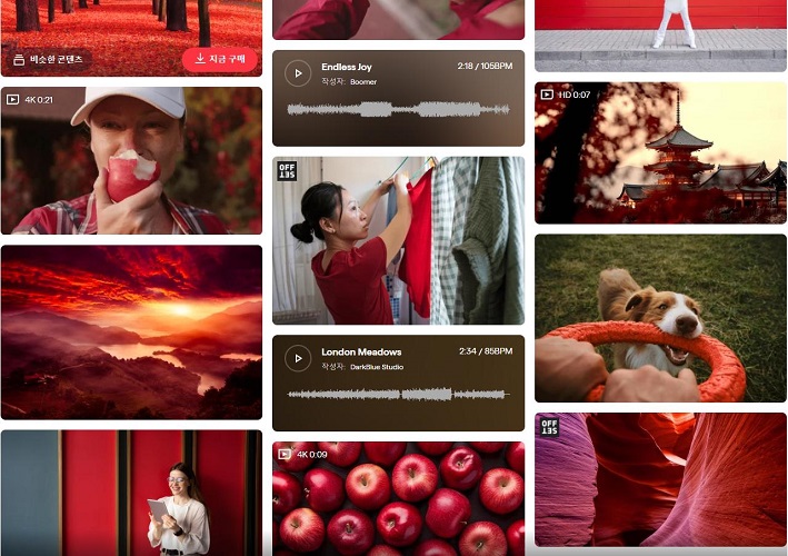 Shutterstock의 인기 이유