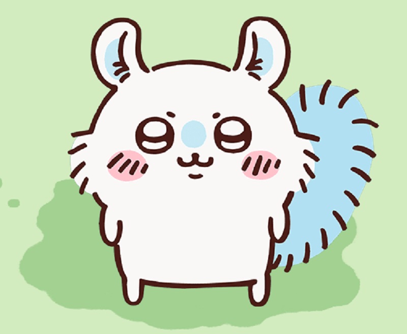 모몽가
