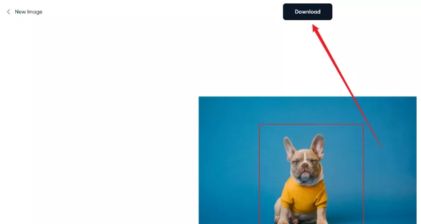 Fotor to ai 지우개