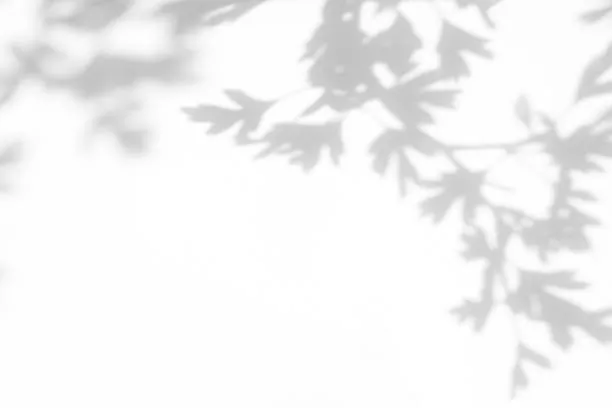canva blur part of image step1
