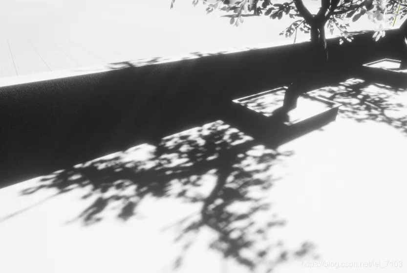 canva blur part of image step1