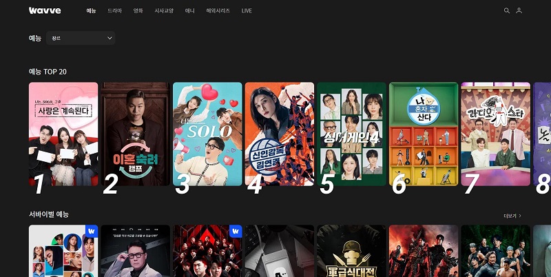 인기 OTT 플랫폼