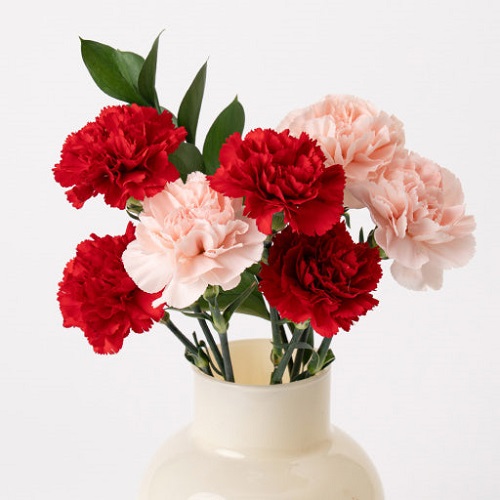 어버이날 선물 추천 리스트