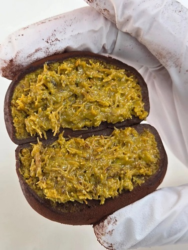 두바이 초콜릿(Dubai Chocolate)