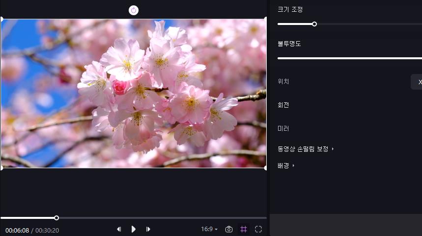특정 프레임의 스냅샷 생성
