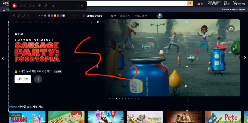 녹화 고급 설정
